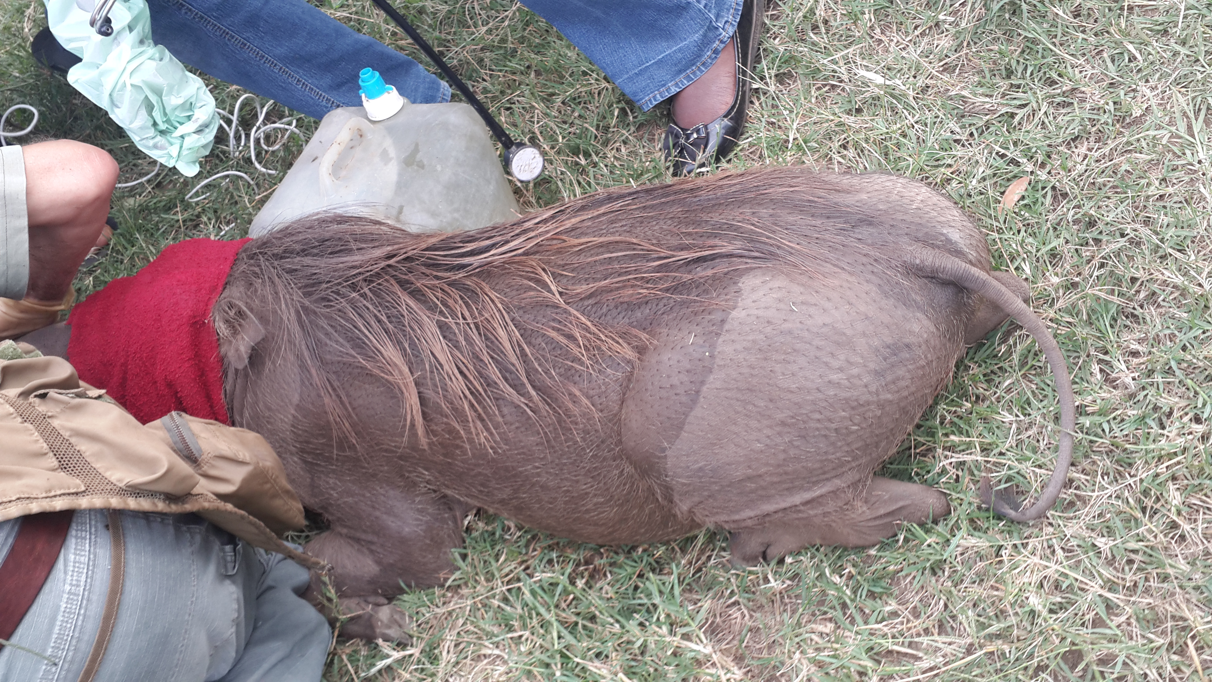 Science driven field work image 2